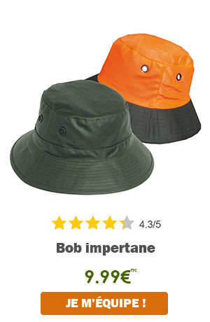 Bob Impertane 