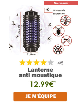 Lanterne anti moustique