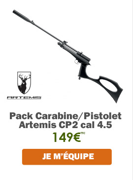 Pack Carabine/Pistolet Artemis CP2 cal 4.5