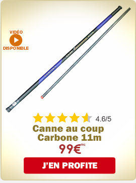 Canne Au Coup Carbone 11M