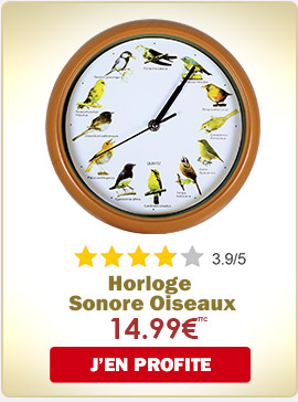 Horloge sonore oiseaux